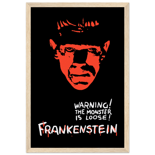 Frankenstein 30s Sci-Fi Horror movie poster-10