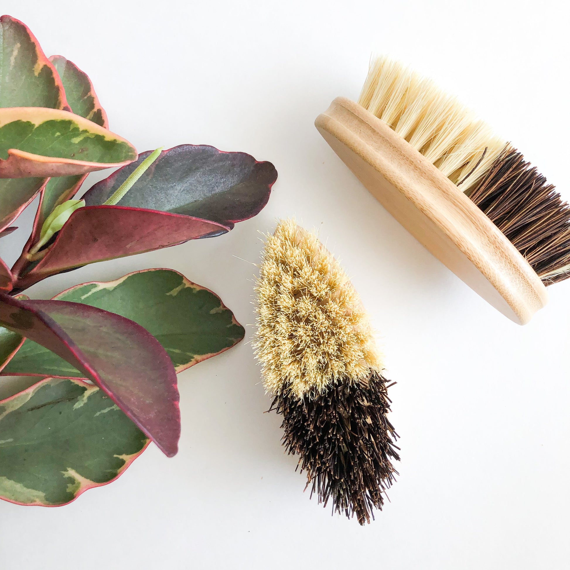 Bamboo Sisal/Palm Fiber Vegetable Brush-Zero Waste Natural Kitchen Scrubbing Brush-Sustainable Kitchen-3