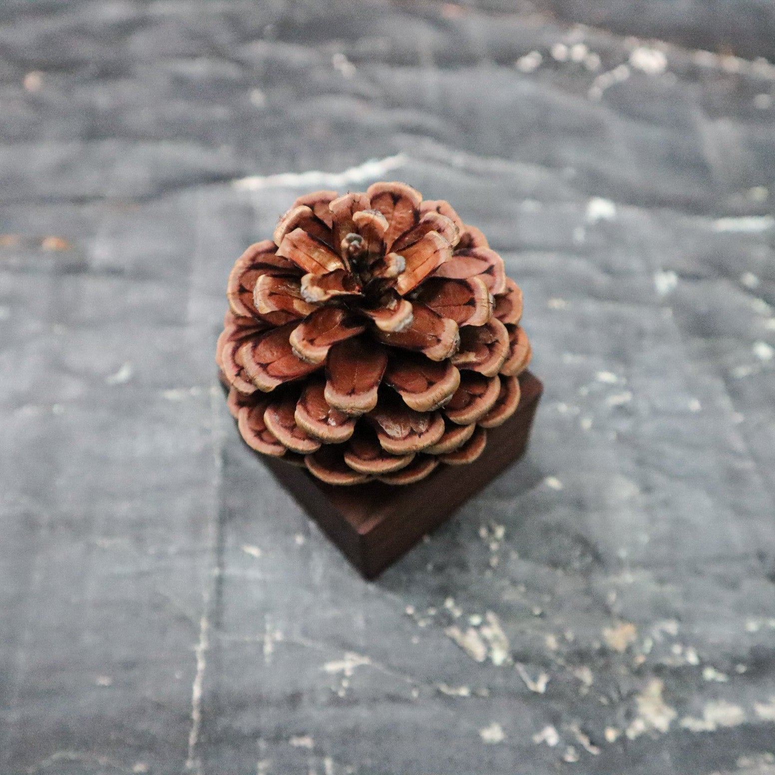 Pinecone Wooden Essential Oil Diffuser-2