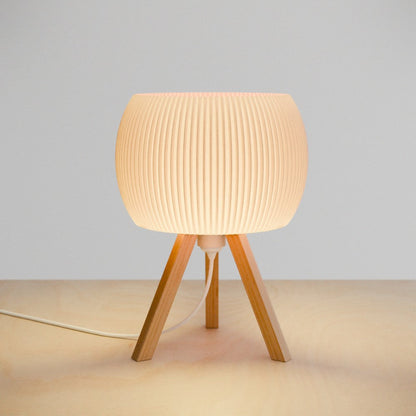 Orb Lamp-1