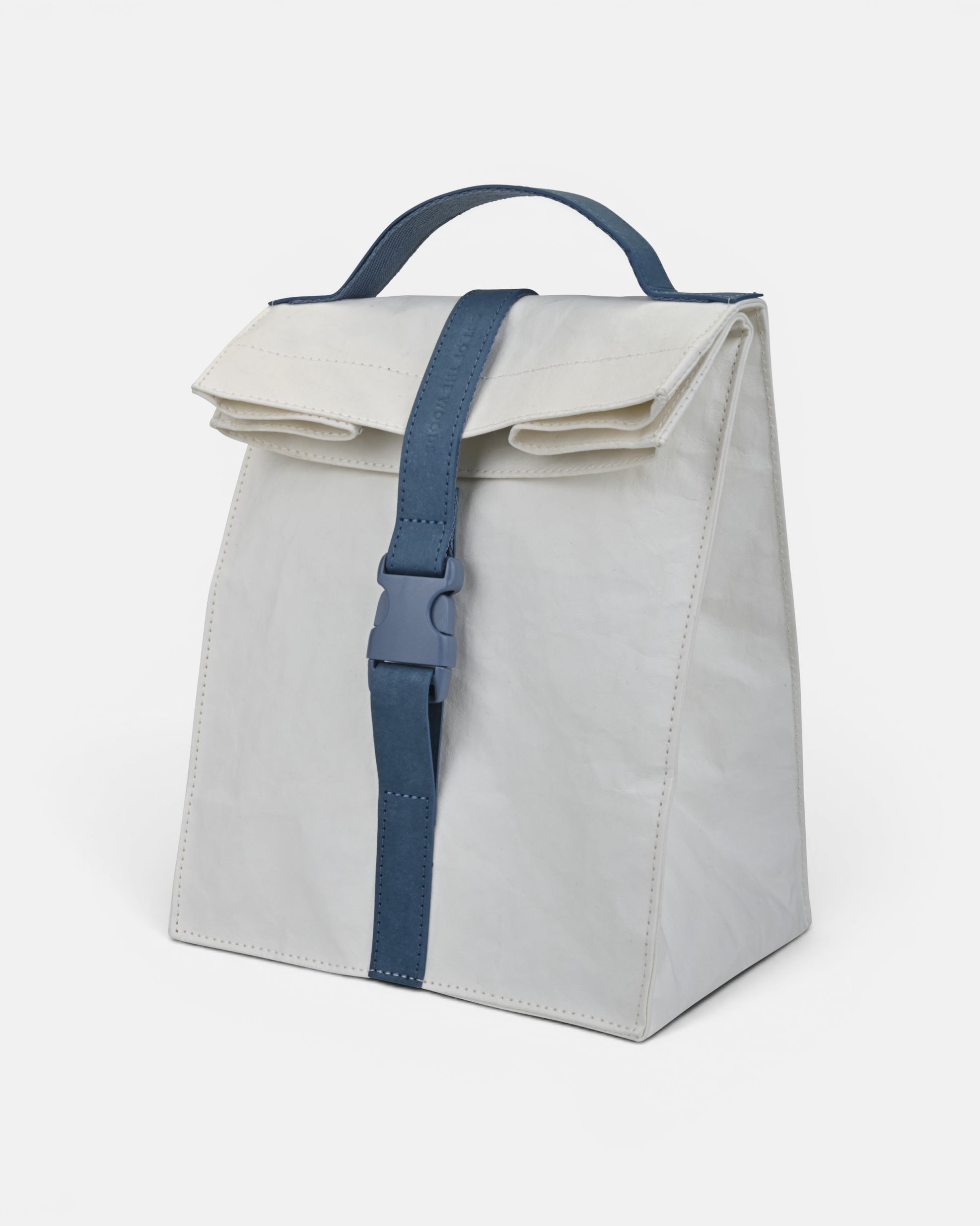Paper Sack Lunch Cooler-0