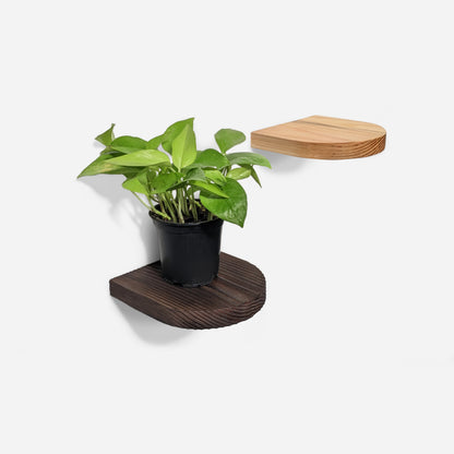 Rainbow plant shelf-3