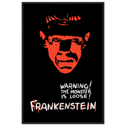 Frankenstein 30s Sci-Fi Horror movie poster-4
