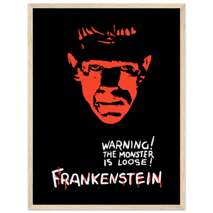 Frankenstein 30s Sci-Fi Horror movie poster-13