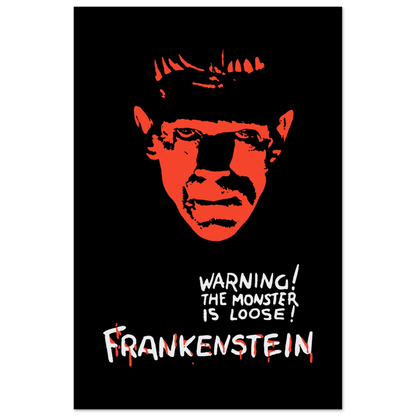 Frankenstein 30s Sci-Fi Horror movie poster-15