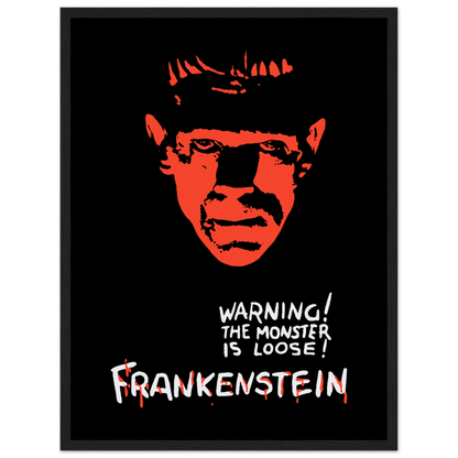 Frankenstein 30s Sci-Fi Horror movie poster-3