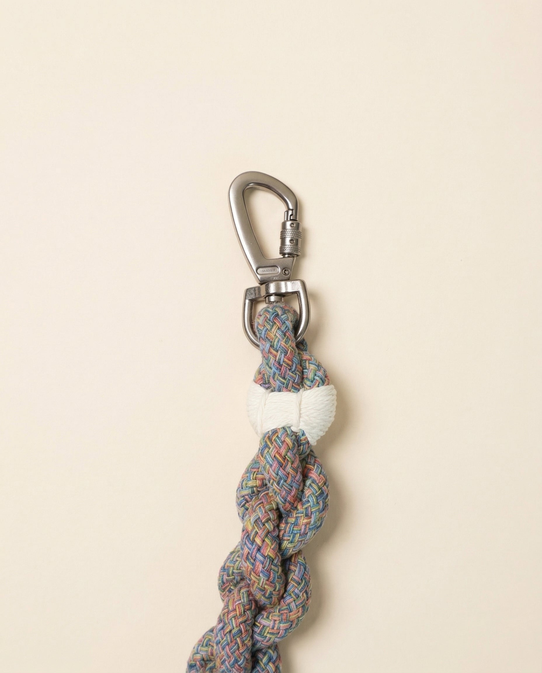 New: Handcrafted Rainbow Rover Dog Leash | Sustainable-2