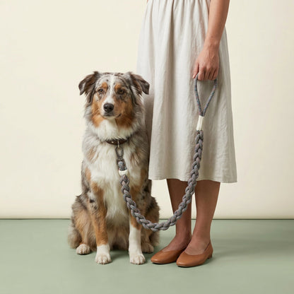 New: Handcrafted Rainbow Rover Dog Leash | Sustainable-3